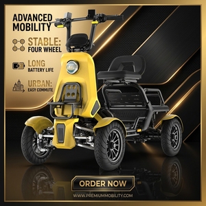 Scooter électrique de loisirs et de transport pour personnes âgées <span class=keywords><strong>S20</strong></span>-15 48V 500W avec pneus de 13 pouces, idéal pour les déplacements en extérieur et les sites touristiques - Product Image 2