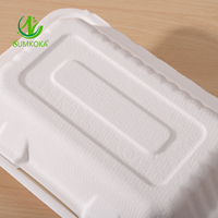 Bagasse biodégradable jetable de canne à sucre de cône pour aller récipient d'emballage de nourriture rapide