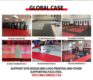 Turnkey MMA &amp; Jiu-Jitsu Academy Solution <strong>Octagon</strong> Cage 6m Floor Mats/Wall Pads/Speed Bag Setup For New Gyms 100-400 Sqm - Product Image 6
