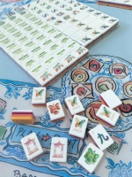 Ensemble de mahjong en acrylique élégant de style chinois, 160 pièces, 4 couches, imprimé lotus et pivoine, cadeau de fête haut de gamme