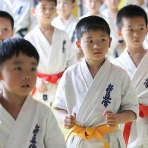 <span class=keywords><strong>Kimono</strong></span> Shinkyokushin Karaté Gi avec logo personnalisé pour enfants Nouvel uniforme <span class=keywords><strong>Kyokushinkai</strong></span> Gi - Product Image 3