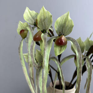 รองเท้าแตะสตรีสไตล์เขตร้อน papiopedilum สำหรับตกแต่งแจกันในบ้านโรงแรม - Product Image 6