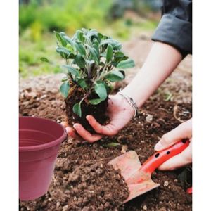 Set SC ECOMMERCE di 9 Vasi Quadrati Fucsia da 1 Gallone (1,3 Litri) per Piante da Interno, Kit di Trapianto per Soggiorno - Product Image 6