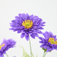 Bouquet de 6 têtes de chrysanthèmes marguerites artificiels en soie, couleurs vives, pour la décoration de la maison et du bureau – Meilleures ventes