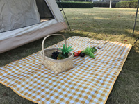 Couverture de pique-nique imperméable pliable et personnalisée, tapis de plage de Camping, Putdoor, Offre Spéciale