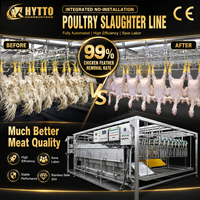 Équipement d'abattage de volailles prêt à l'emploi pour usine avicole, ligne d'abattage de poulets, équipement d'abattage, système 1000BPH