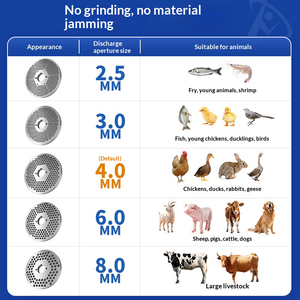 Nouvelle Offre Limitée : Machine à Granulés d'Aliments pour Animaux, Granulation Rapide, Capacité 300 kg/h, Construction en Fonte pour Aliments du Bétail et Aquatiques - Product Image 6