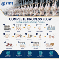 Ligne d'abattage de volailles avec plumeuse en acier, capacité 6000-8000 BPH, équipement d'abattage de volailles, système d'abattoir certifié CE