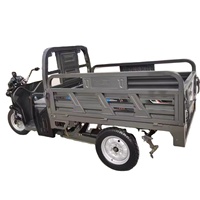 Véhicule de fret électrique chinois à trois roues à deux places avec cadre en acier Tuk Tuk Tricycles pour livraison