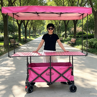 Chariot de marché pliable robuste avec auvent pare-soleil, grande capacité, chariot de vente ambulante pour l'extérieur et le camping
