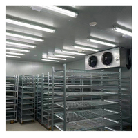 Unidad de Refrigeración Comercial, Cámara de Congelación Rápida, Congelador de Impacto para Patatas, Carne, Pescado, Pollo, Mariscos -40°C