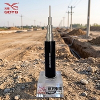 Cable Aéreo con Aislamiento XLPE y Conductor de Aluminio JKL3YJ 10kV, Cable Aéreo con Aislamiento XLPE y Conductor ACSR de Alta Conductividad