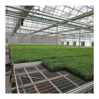 Banc roulant en treillis métallique pour lit de semence de pépinière de serre Offre Spéciale Table de culture intérieure pour banc roulant agricole