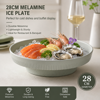 Assiette en mélamine effet glace sèche, gris spatial mat, fumé, durable, pour service à domicile, cocktails, desserts, incassable