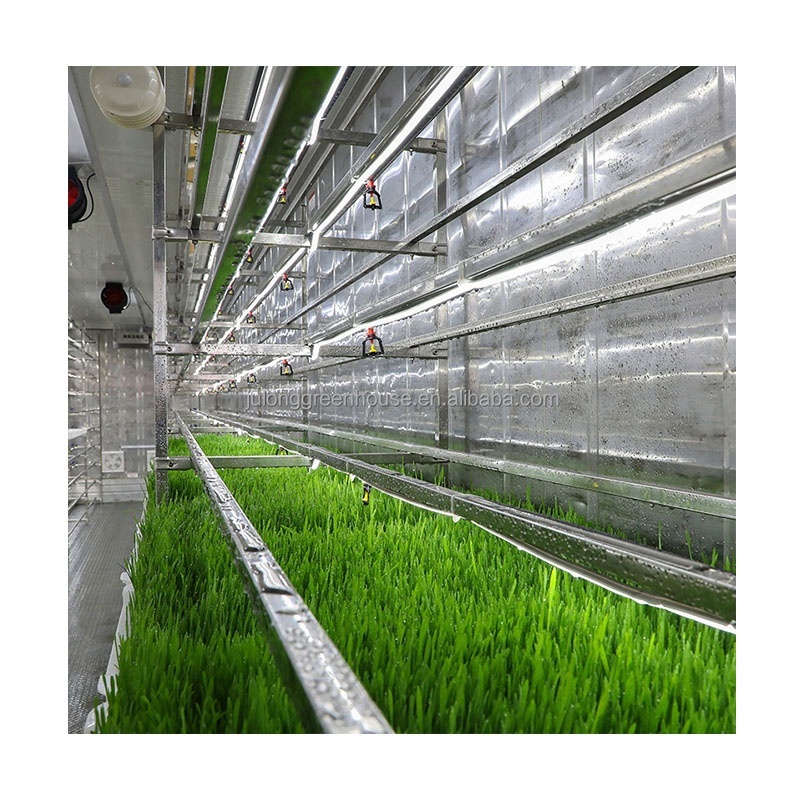 Indoor Hydroponic Fodder System Vertical Farming