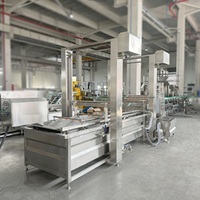 Lwt Fruit Groente Reinigingslijn Kern Plc Tandwielpomp Motor Voor Ananas Oranje Mango Knoflook Apple Tomaat Aardappel Wasmachine