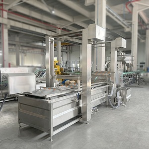 Línea de limpieza de frutas y verduras LWT, Motor de bomba de engranajes PLC central para Piña, naranja, mango, ajo, manzana, tomate, patata, lavadora - Product Image 6