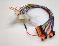Arnés de Cables Personalizado para Automóviles, Arnés de Cables para Automóviles con Conector MOLEX, Fábrica Certificada IATF 16949