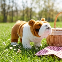Boneka Anjing Inggris Realistis Custom Grosir, Mainan Anjing Bulldog Berkerut Wajah Terserut, Boneka Hewan Simulasi, Hadiah Plushie Anjing