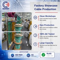 Kabel Trunk Kexint 192F MPO-12 APC Male OM4 Multimode Tipe B