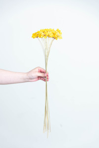 Moon Yu Vente en gros Fourniture d'usine de haute qualité 50 ~ 60cm de hauteur 10 pièces/sac décoratif fleur d'anémone de mer artificielle - Product Image 4