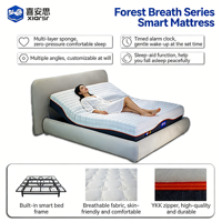 Matelas de relaxation intelligent moderne et durable avec massage, alarme de réveil, fonctionnement silencieux, hypoallergénique, respirant, pour hôpital et villa