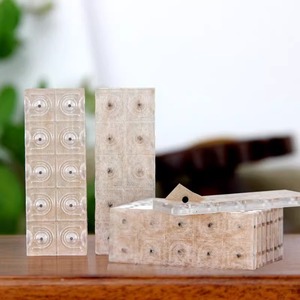 Parches de Acupresión Marca Yunlong, 100 Parches, Dispositivo Médico, Semillas Auriculares - Product Image 2