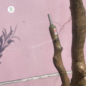 Lớn Nhân Tạo Nhựa Ô Liu Chuối Bonsai Faux Chậu Màu Xanh Lá Cây Kế Hoạch Cây Với Sống Động Như Thật Lá Trang Trí Nội Thất Cửa Sổ Hiển Thị - Product Image 6