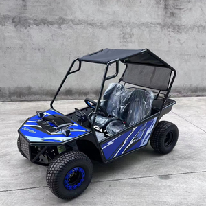 Karts de course électriques à deux places 1000W/48V Buggy Dune alimenté pour Parent-Enfant Off-Road Drift Adventure Fun Outdoor Activity - Product Image 3