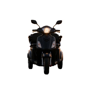 Tricycle électrique puissant et robuste / batterie au plomb-acide 20Ah / ampoule halogène 12V / VISTA-L1 pour les courses - Product Image 1