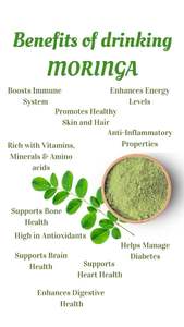 100% Pure Wild Moringa Leaf Powder Natural Detox Nourish Thrive Suplemento - Product Image 2