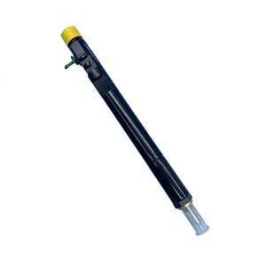 Reconditioned Delphi Injector R04201D Mercedes A6460700987: Diesel Fuel Injectors and Pumps from AGNG Diesel | Diesel Fuel Injector EJBR04201D A6460700987 Compatible For Mercede | インジェクション | LuoJuu(小きな店)
