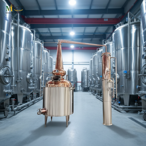 Usine de distillation de malt de 1000L fabriquée en Chine, équipement de fermentation automatique certifié ISO pour bière artisanale, moteur de grande capacité - Product Image 1