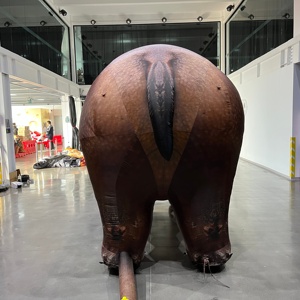Réplique personnalisée géante gonflable d'un hippopotame de dessin animé pour une utilisation publicitaire, imperméable et durable - Product Image 4