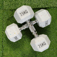 Ensemble d'haltères en acier recouvert de caoutchouc à prix compétitif, usage commercial, certifié ISO9001, marque EM Fitness, emballage personnalisé, unisexe