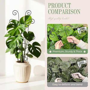 Treillis métallique décoratif pour plantes en <span class=keywords><strong>pot</strong></span>, support de grimpement pour plantes d'intérieur, facile à assembler, vente en gros - Product Image 2