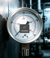 2026 HENGZAN 4-inch High-quality All-stainless-steel Oil-filled Pressure Gauge with 1.0 Accuracy and 3-Year Warranty
