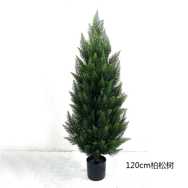120cm