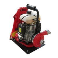 Mini pompe à eau centrifuge monophasée portable pour incendies forestiers OEM 2,2 kW 3,86 L/s