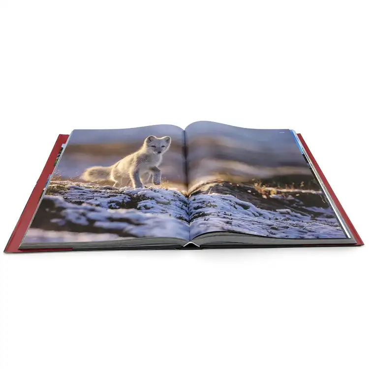 하드 커버 책 인쇄 A4 책 인쇄 양장본 커피 테이블 책