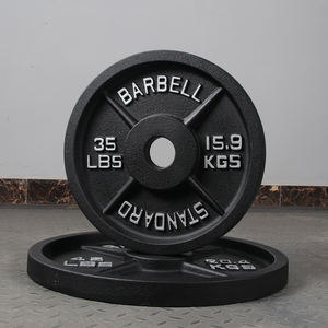 بيع بالجملة في الصين لوحات الوزن التجارية من الحديد الزهر لصالة الألعاب الرياضية رفع الأثقال - Product Image 4