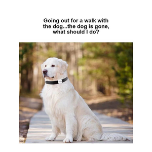 Hợp thời trang Pet GPS theo dõi tag toàn cầu định vị nhỏ gọn thoải mái mặc cho chó mèo ngoài trời - Product Image 3