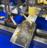 Aangepaste hoogwaardige SUS 304 ananasontpitter elektrische ananas schil- en ontpittermachine met capaciteit van 100-3000 kg/uur