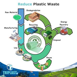 <span class=keywords><strong>Rouleau</strong></span> de film à bulles d'air en polyéthylène basse densité biodégradable Triplast vert 300 mm x 10 m, rembourrage à bulles d'air <span class=keywords><strong>pour</strong></span> déménagement - Product Image 2