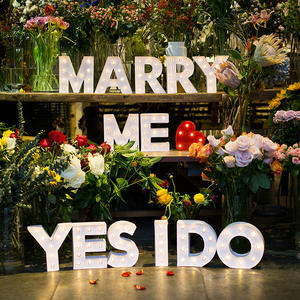 Мини 3D светодиодный Белый ночник, Лидер продаж, на Рождество и День Святого Валентина, свадебные украшения, Домашняя вечеринка, наружное использование - Product Image 6