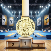 Médaille personnalisée pour arts martiaux, plaquée or, en alliage de zinc, récompense sportive de championnat, souvenir de compétition, tournoi, OEM