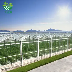 Reasonable Price New Style Multi-span greenhouse frame structure Glass Agricultural Greenhouses For Industrial