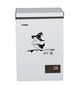 Congélateur coffre mini BD-100 à ouverture par le haut, certifié CE, idéal pour les usines, prix abordable - Product Image 2