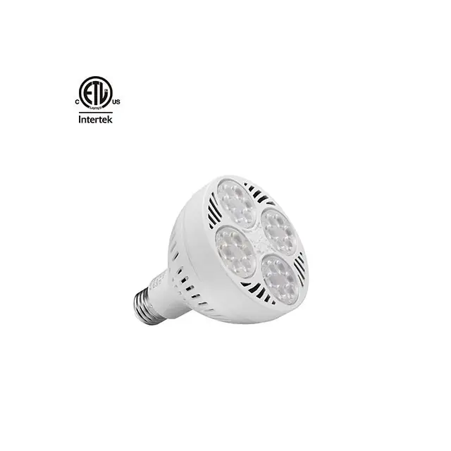 Projecteur led de luxe, série en Agate de Jade, ETL, bijoux pour projecteur, 35W 40W, Par30