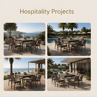 Meubles de patio extérieur Villa Chaise en aluminium Table extensible Chaises avec accoudoir à cadre métallique